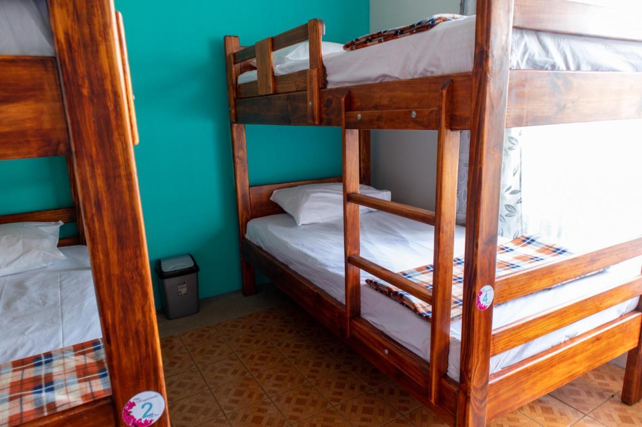 Hostel Bouganvilia Bed And Breakfast San Ramón Zewnętrze zdjęcie