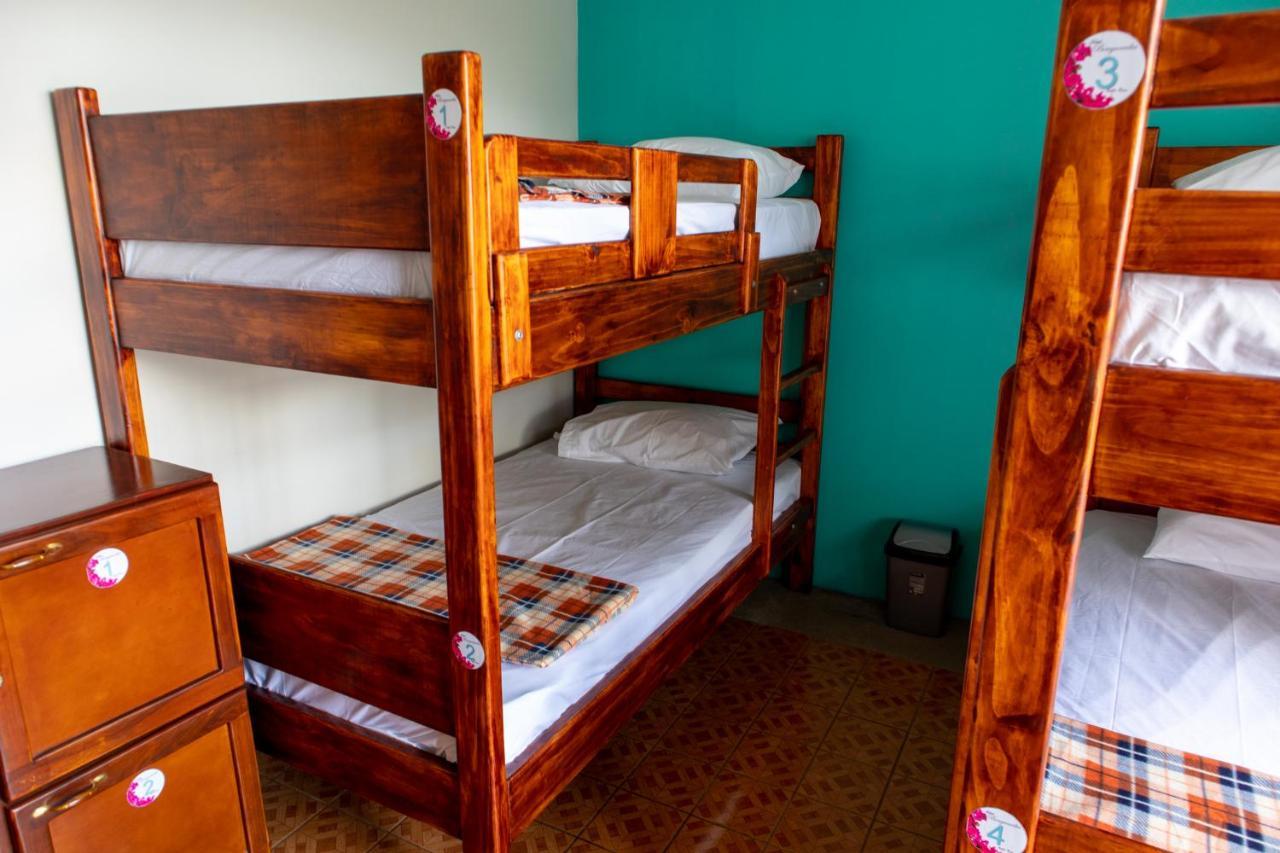 Hostel Bouganvilia Bed And Breakfast San Ramón Zewnętrze zdjęcie